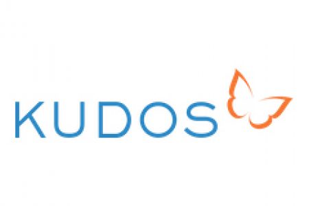 Get Kudos For Your Work